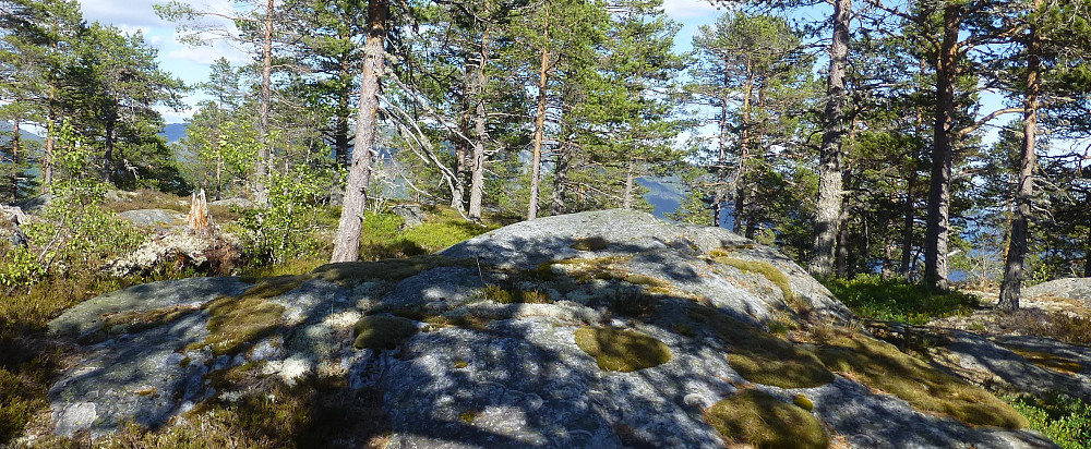 Toppen av Gjeskofjellet