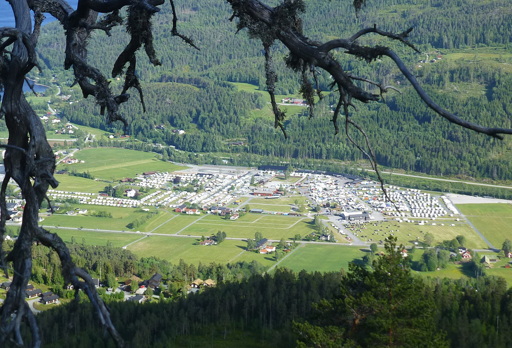 Vårmarknad på Dyrskuplassen, mye folk