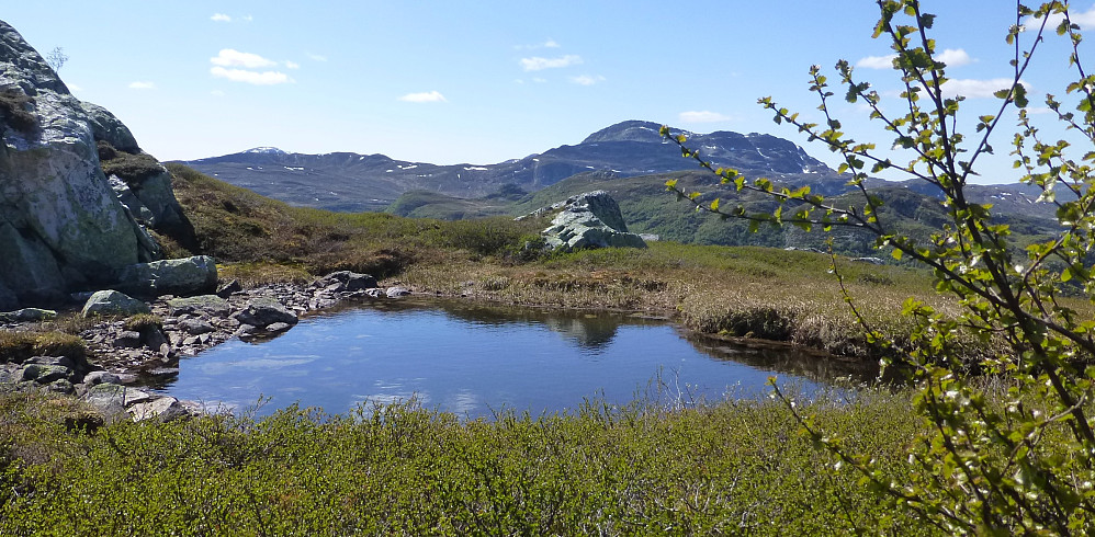 I skaret med mange vannpytter og her med Vindeggen i bakgrunn