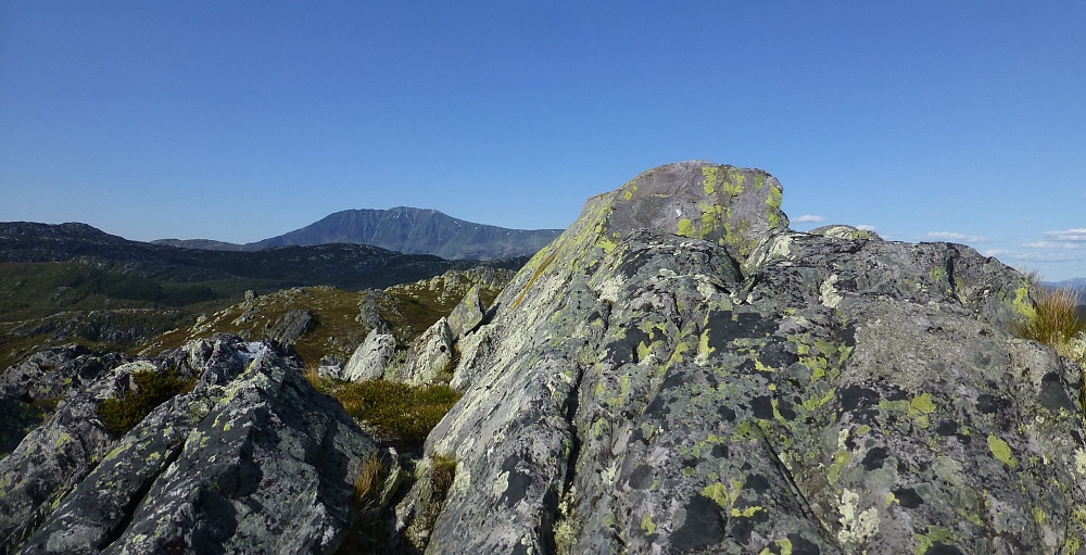 Toppen på Urdetjønnfjellet
