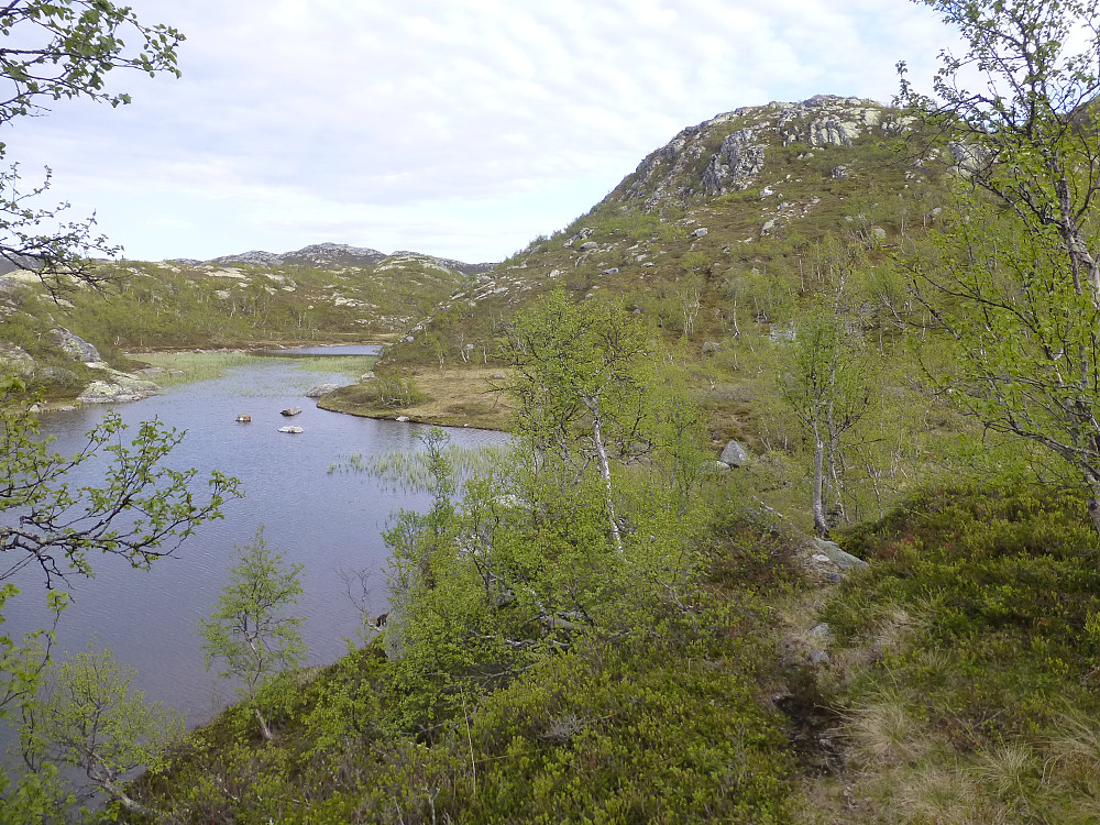 En tarm av Våtjønn i starten av turen