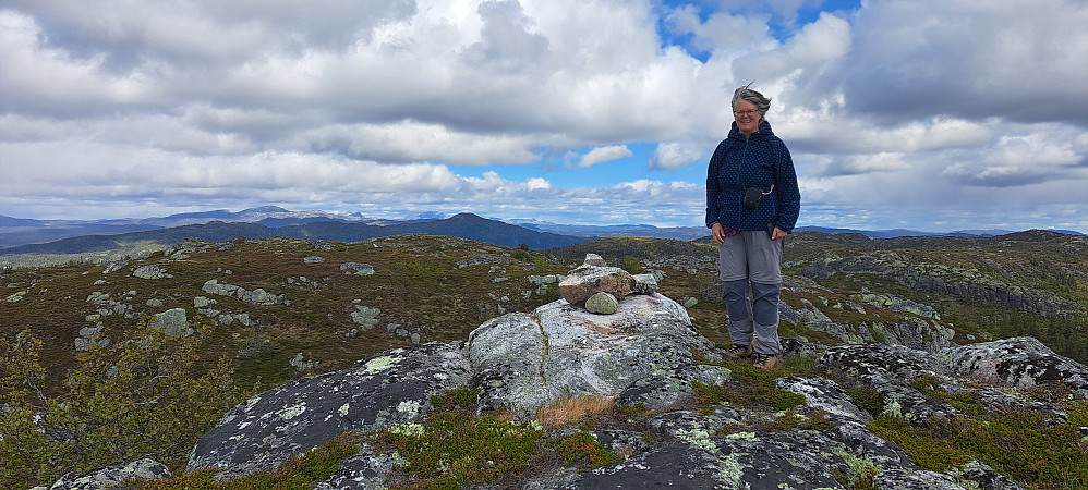 Toppen i blest