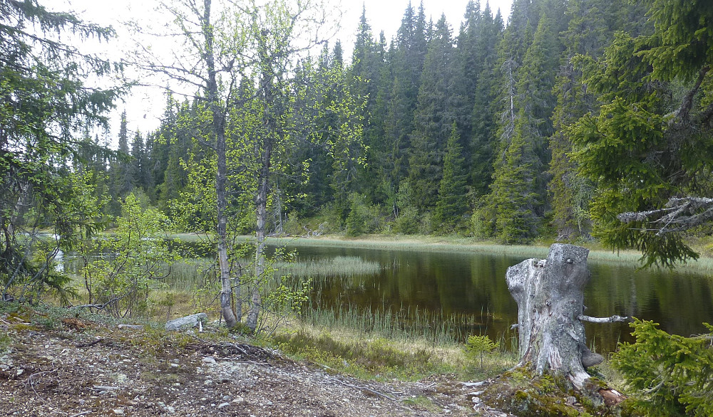 Nordenden på Stavatjønn