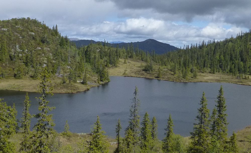 Utsikt til Gaustatoppen og Rust med Venelitjønna foran.