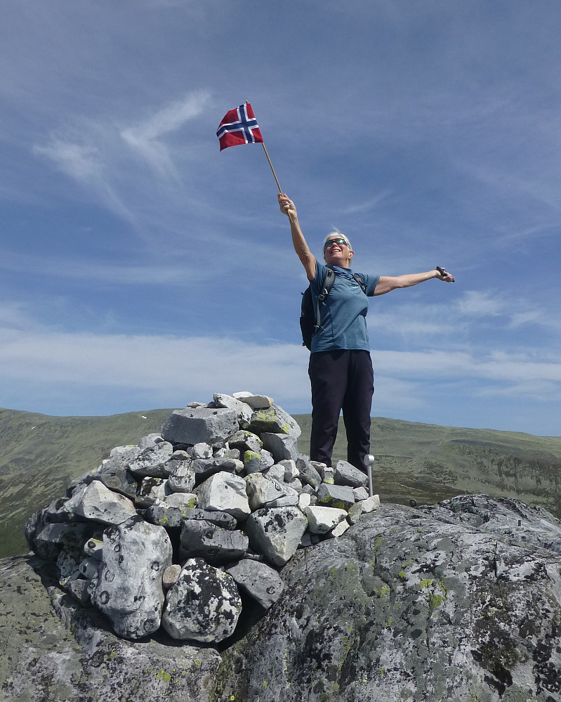 Liv på toppen. Topp 300 i Telemark. 300xHURRA
