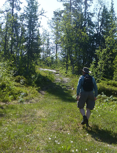 Stien oppover i starten