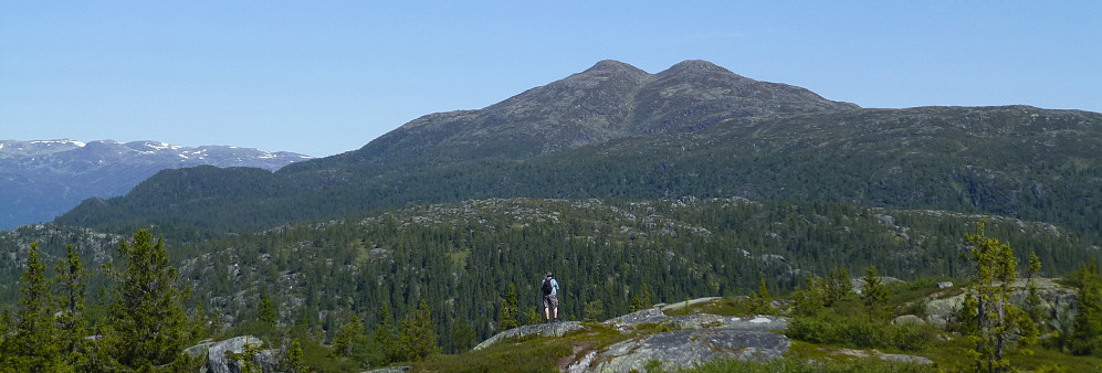 Vehuskjerringa