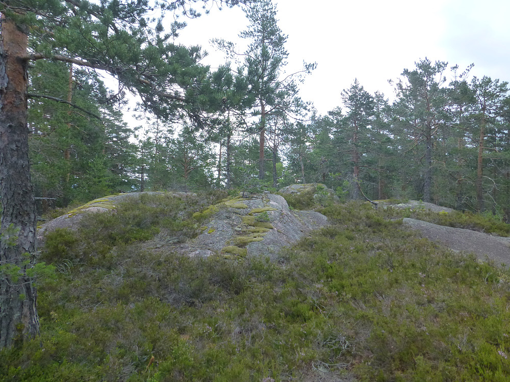 Toppområdet