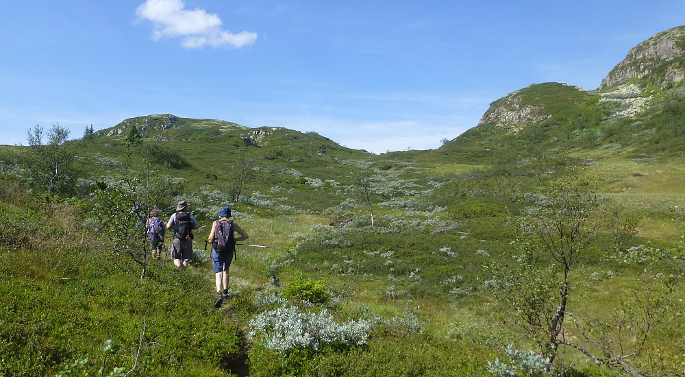 Oppover dalen vi fulgte