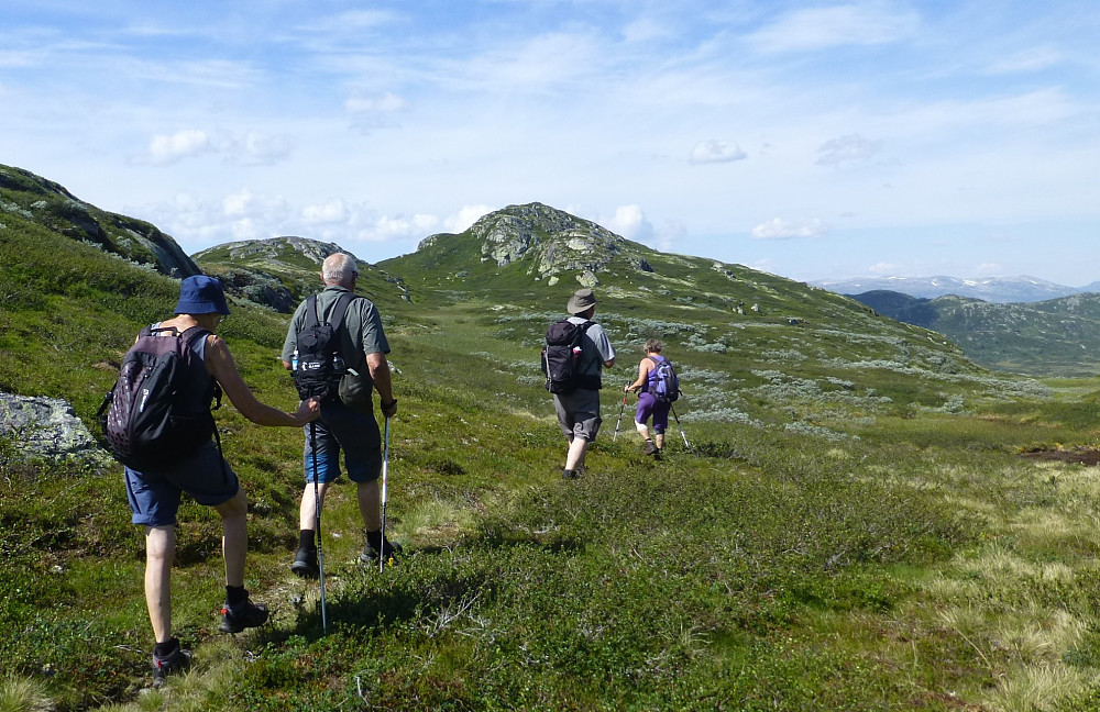 Alle på rekke og rad og toppen i sikte