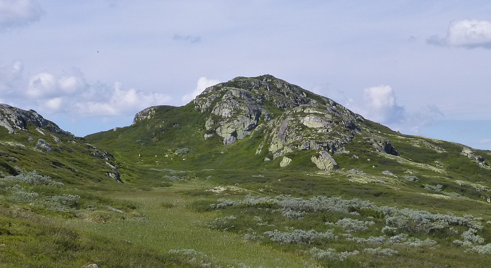 Toppen på Brurnuten
