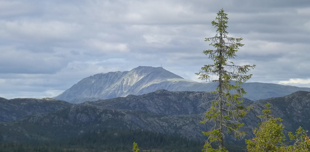Gaustatoppen