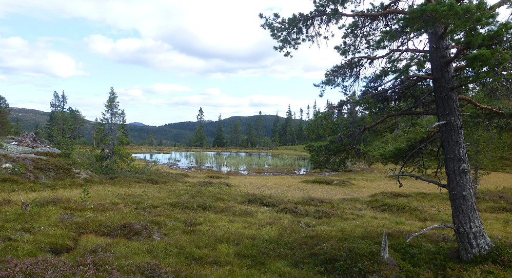 Ennå en