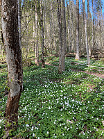 marithovi_20220501_626eb0a421812.jpg