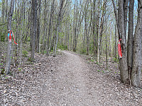 marithovi_20220501_626eb0a5cbc0a.jpg