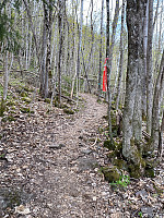 marithovi_20220501_626eb0a939e03.jpg