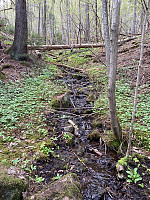 marithovi_20220501_626eb0ab795e0.jpg