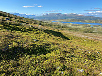 marithovi_20220801_62e81008e7843.jpg