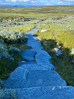 marithovi_20220801_62e8100bd24f5.jpg