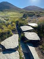 marithovi_20220801_62e8100e427ec.jpg