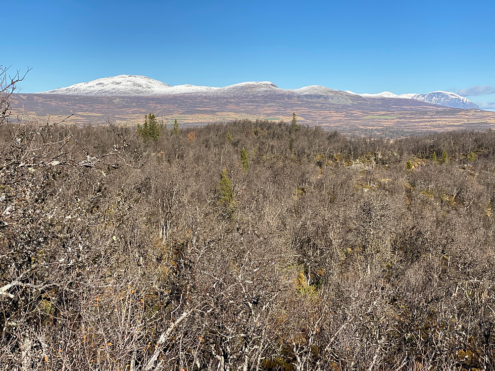 Utsikt til Såta og Skogshorn 