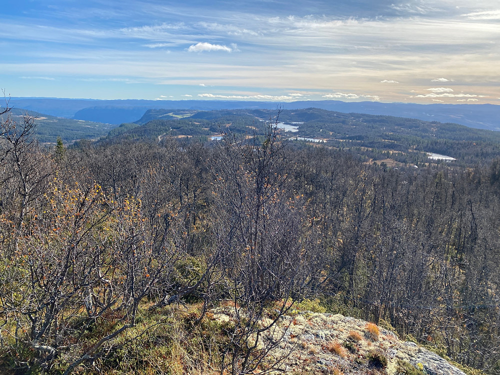 Utsikt til Liatoppen