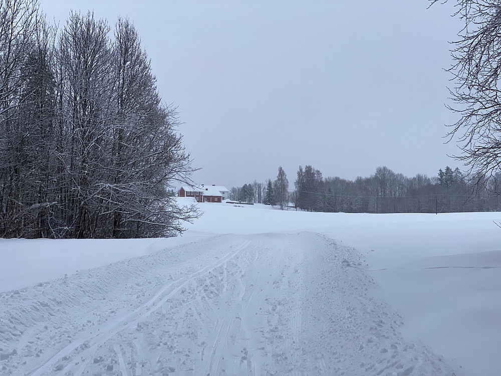 Stokkerjordene