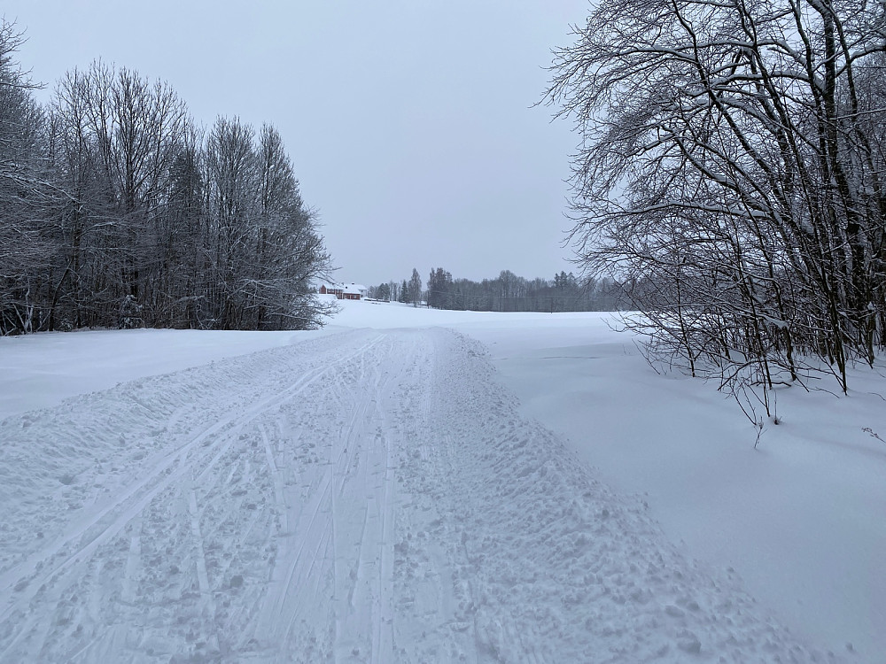 Stokkerjordene