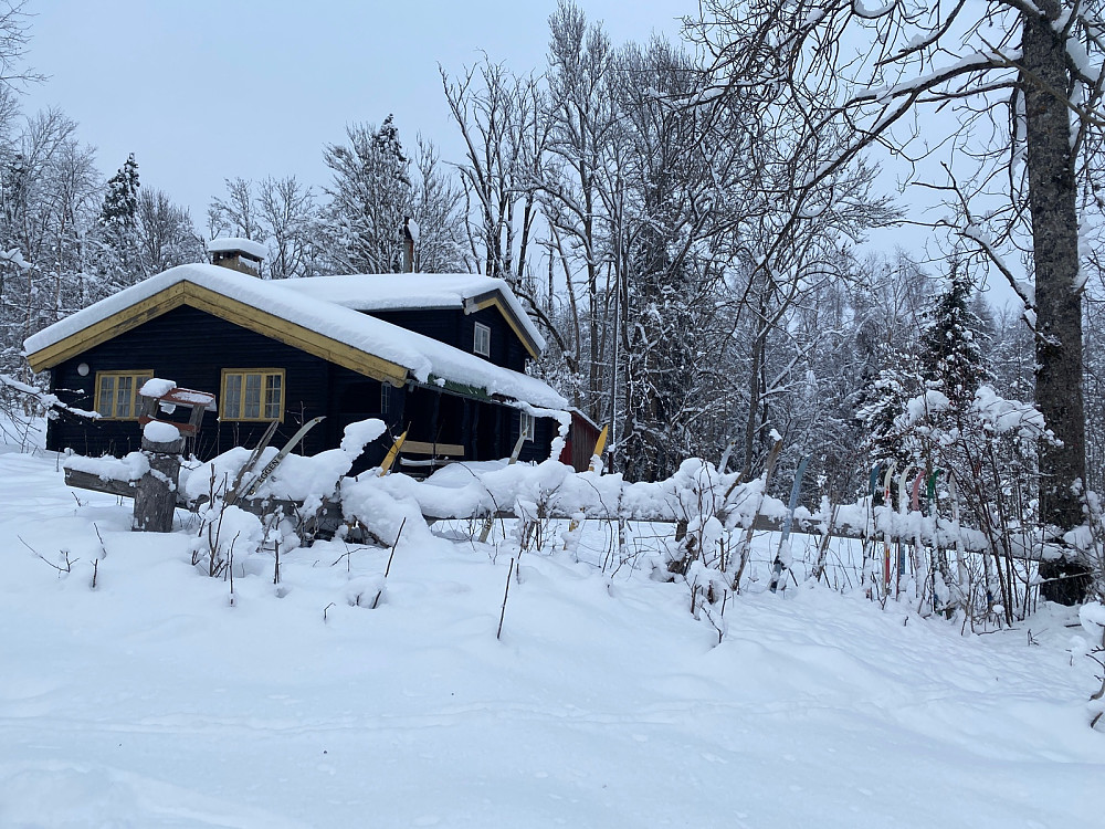 Artig gjerde av ski..