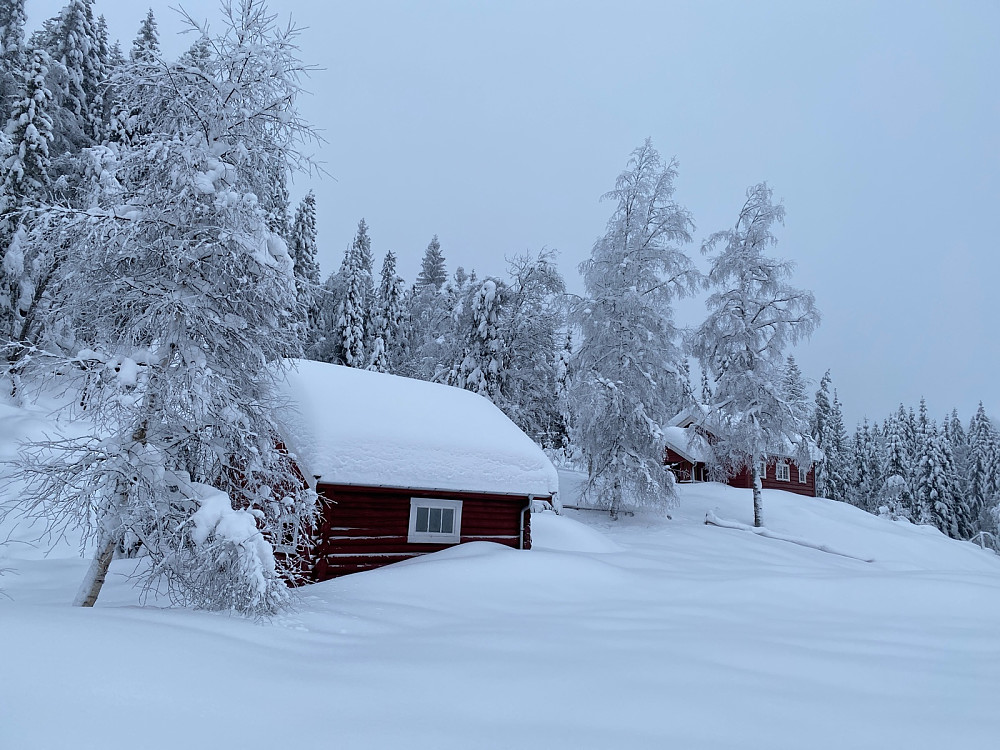 Fin liten seterhytte i Vestmarka i retning Jonsemyr. Nye trakter