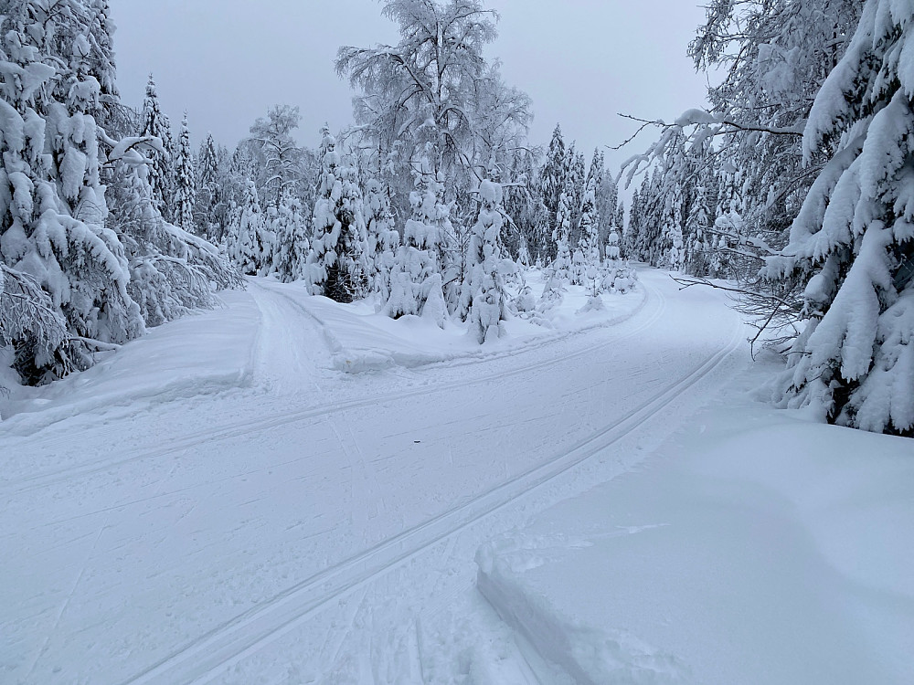 Og der møtte sporet den oppkjørte løypa! Litt lettet, akkurat da! Klokka var ca halv fem…