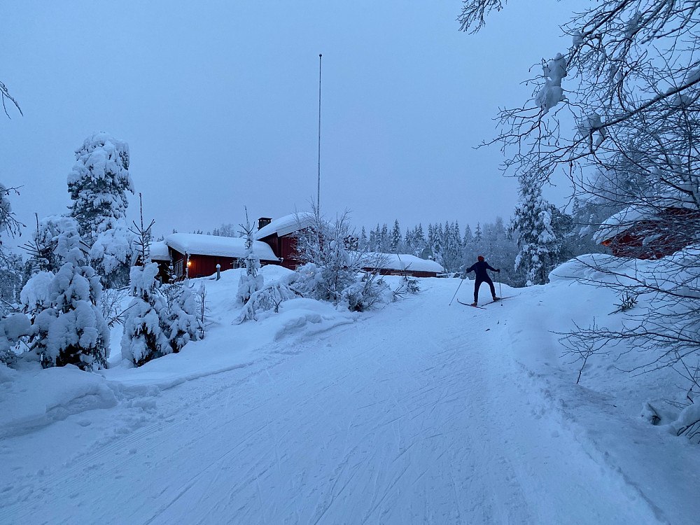 Idyllisk med lysene på Furuholmen