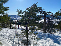 marithovi_20230401_64286466ddb15.jpg