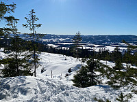 marithovi_20230401_64286468a0342.jpg