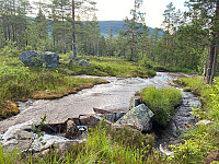 marithovi_20230805_64ce2e2735e9e.jpg