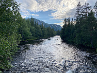 marithovi_20230805_64ce2e290c0d7.jpg