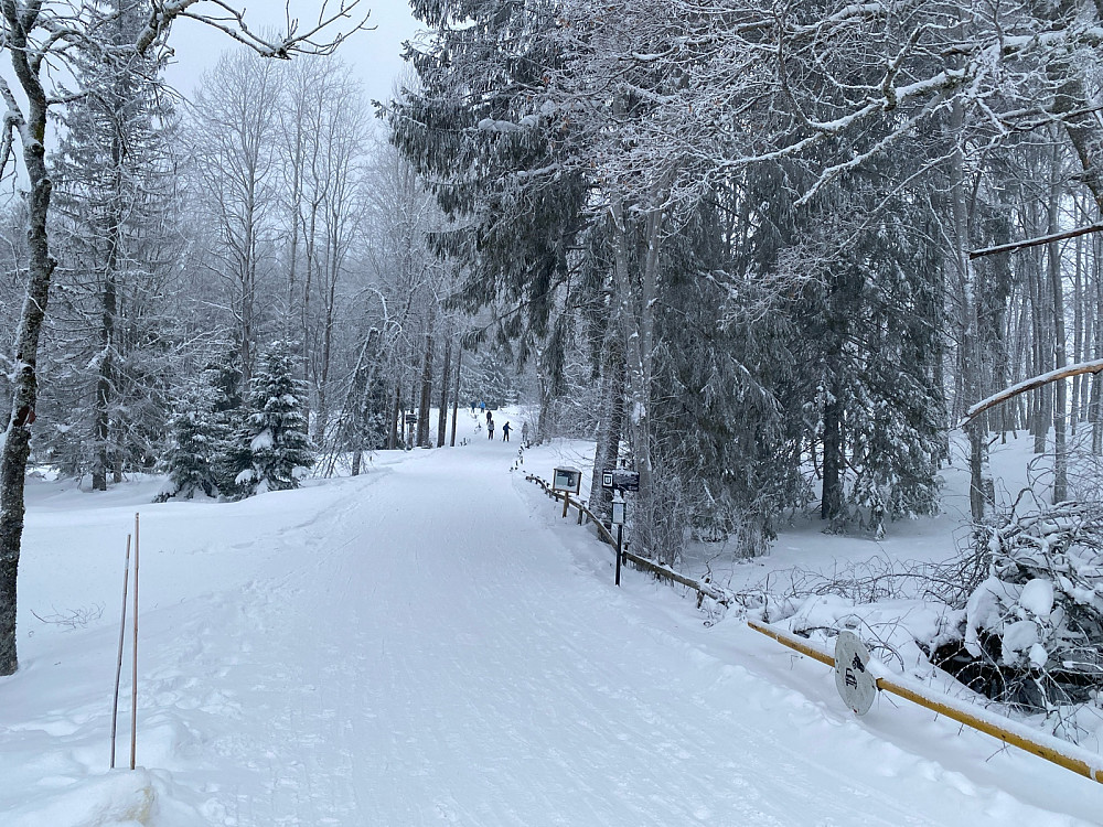 Litt hustrig ut fra Solli P, med vind og snøfokk�
