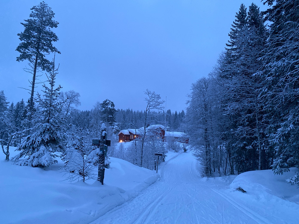 Idylliske Furuholmen