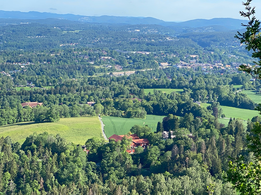 Skaugum gård