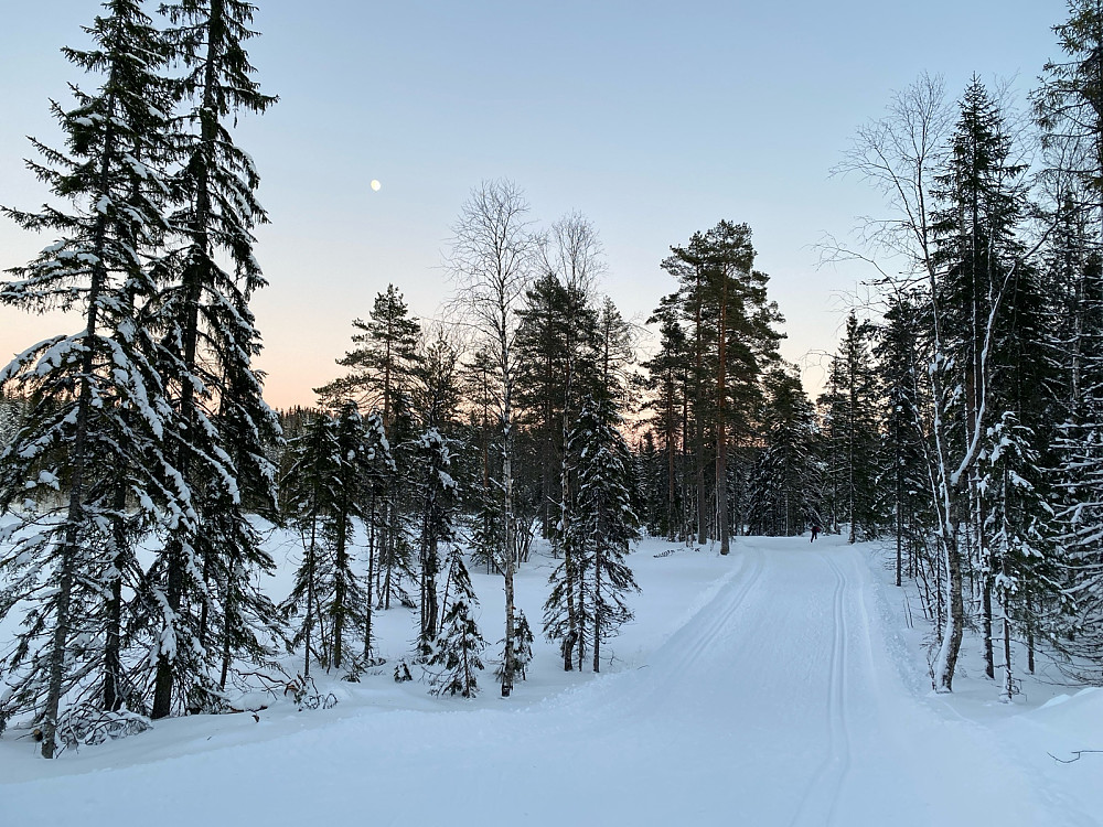 Løypa er lagt om, vakker trase