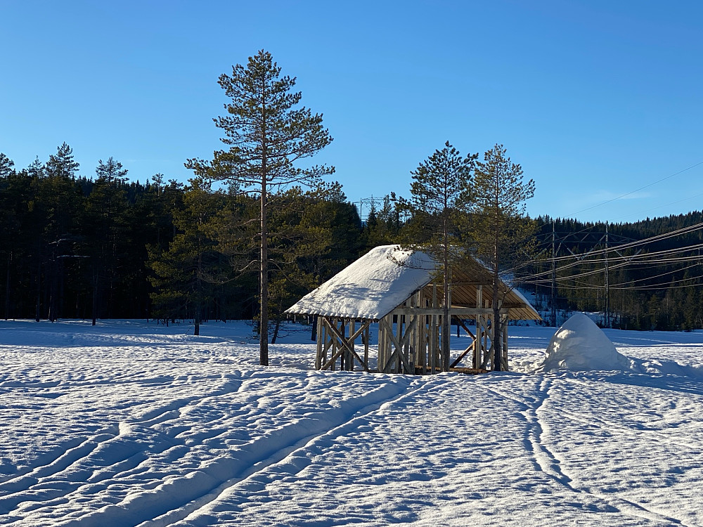 Nydelig på myra