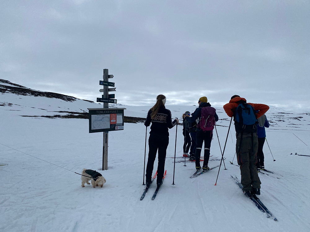 Ved krysset der vi tok feil løype, Sulebu var mot høyre!