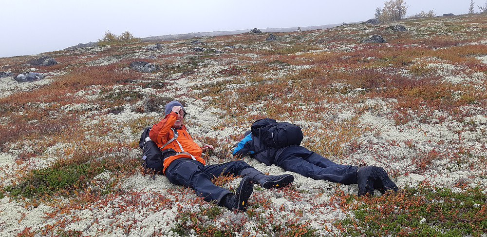 Deilig mose i flate høstfjellet. 
