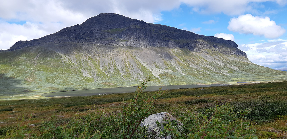 Grindane ruver godt i terrenget - i Vang i Valdres