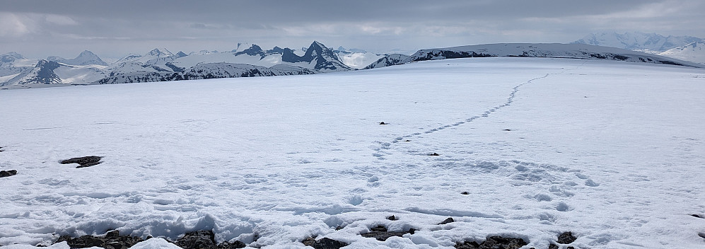 Utsikt sørover fra Loftet (2170m). Herfra ser man store deler av Jotunheimen, Breheimen og Sognefjellet m.m. Midt på dette bildet er Storebjørn (2222m) og Store Smørstabbtind (2208) godt synlig.