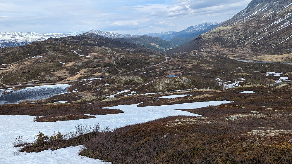 Her ser man fra bakkene opp mot Loftet og ned mot Sognefjellsveien. Man kom overraskende raskt på snø selv om det så veldig bart ut fra veien. Bildet er tatt 18. mai.