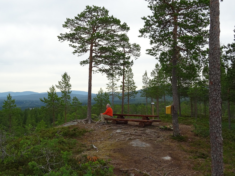 Flott rasteplass på toppen av Langhevelen