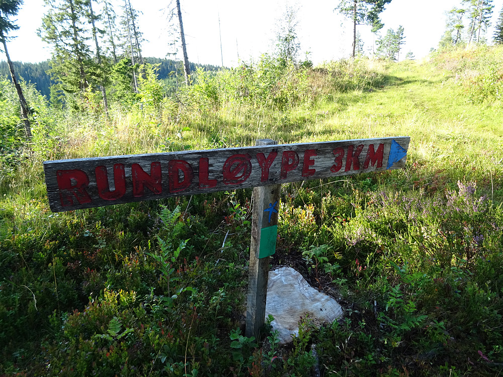 Stolpejaktområdet brukes som skiløype på vinteren