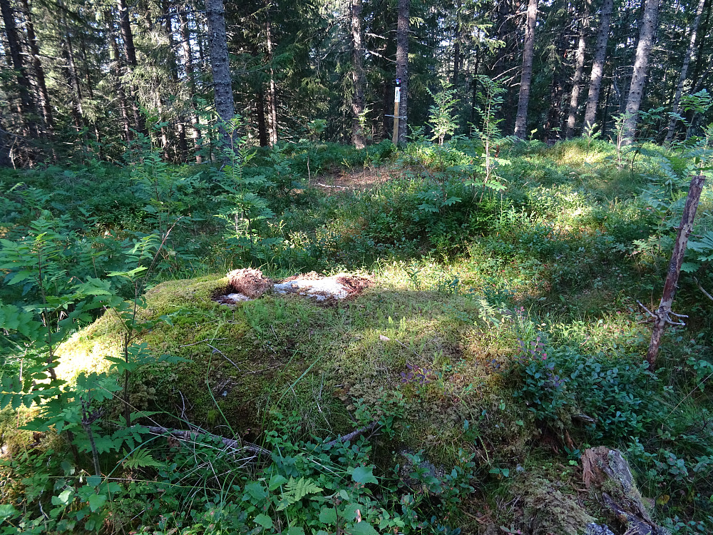 Denne stolpen hadde stikkordet STEIN. Steinen var mosegrodd