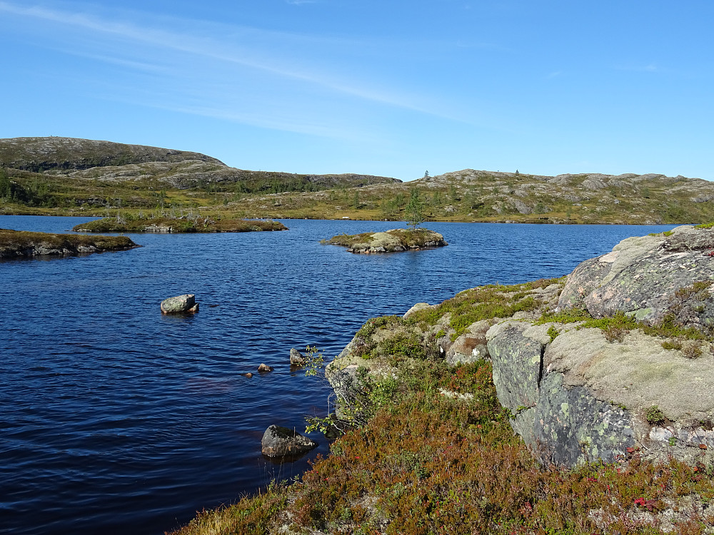 Løsvatnet